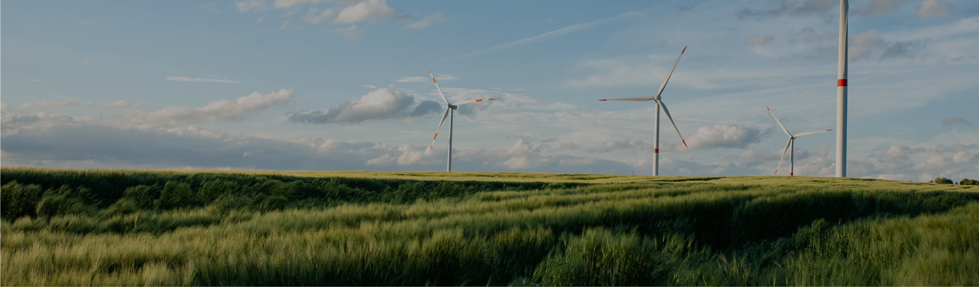Sustainability